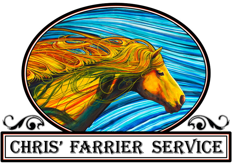 Chris’ Farrier Service